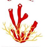 Coral Passeios